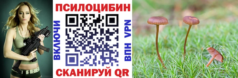 Псилоцибиновые грибы Cubensis  Купить где  Сенгилей 